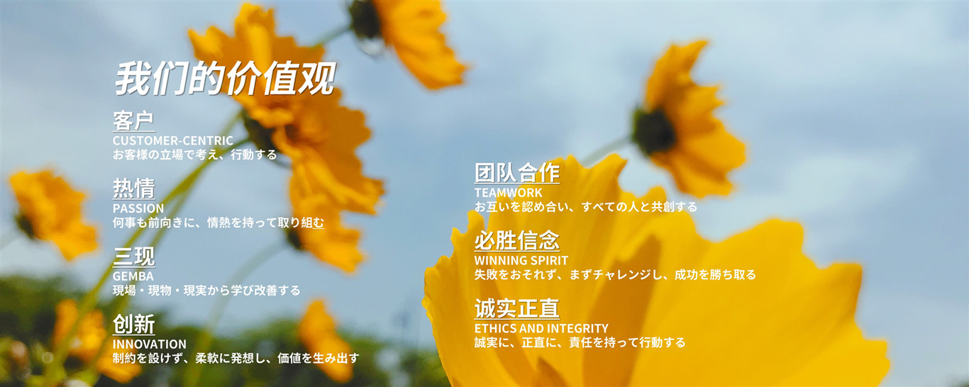 我們的價(jià)值觀